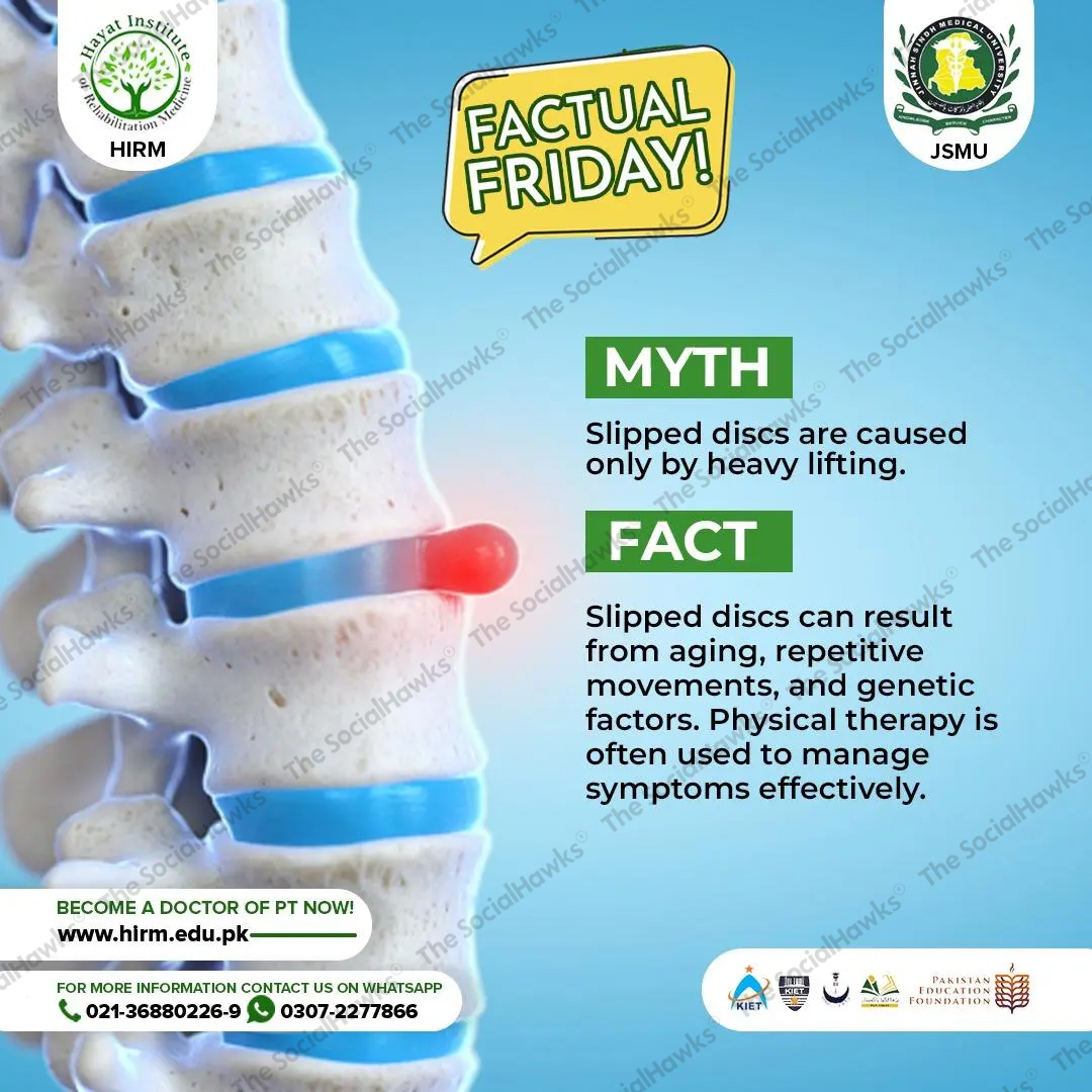 HIRM Factual Friday post about slipped disc myth vs fact with spine illustration
